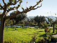 Olive Grove Zakynthos – zdjęcie 5
