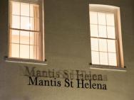 Mantis St Helena – zdjęcie 5