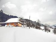Cottage Svitanok – photo 4