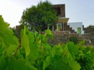 Cycladic Vineyard House – zdjęcie 1