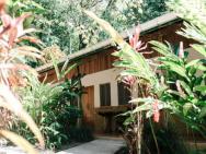 Star Mountain Jungle Lodge - Mal Pais, Santa Teresa