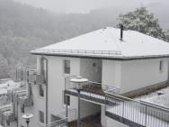 Apartment On The 2nd Floor With Balcony And Nice Views In The Centre Of Willingen