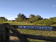 La Asunción – photo 1