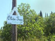Olive Tree Cottage – zdjęcie 3