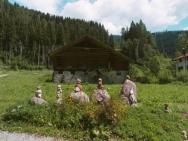 Lärchenwirt Dolomites