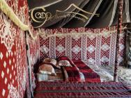 Desert Private Camps - Private Bedouin Tent