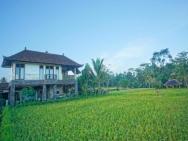 4brv With Rice Field View Near Ubud Centre – photo 3