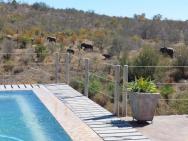 Phomola Manor Self Catering Holiday Home