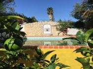 Lovely Quinta In Nature With Pool - Tomar