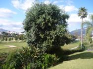 Beautiful Apt With Golf & Lake Views Mijas Golf – photo 3