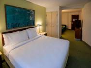 Springhill Suites Chicago Bolingbrook - Completely Renovated – zdjęcie 4