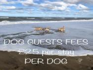 Dog Friendly Beachside Cottage 2 Mins To Beach With Hot Tub – photo 6