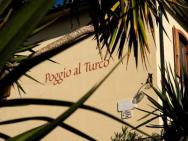 Agriturismo Poggio Al Turco - Terrace View – photo 2