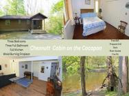 Chesnutt Cabin On The Cacapon River