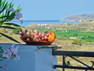 Naxos Filoxenia Hotel – photo 2