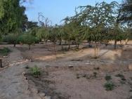 Sentrim Samburu Lodge – photo 13