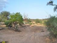 Sentrim Samburu Lodge – photo 6