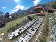 Bale Sembahulun Cottages & Tend – photo 2