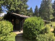 Wooden Bungalow With Oven, In Oberharz Near A Lake – photo 3