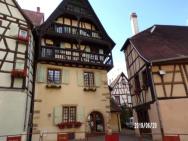 Duplex Saint Lustre, View Over Castle And Storks, 5 Mn From Colmar