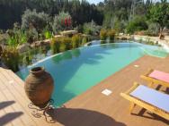 Casa Azul Self-catering Apartment With Gorgeous Biological Swimming Pool – photo 2
