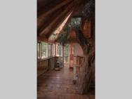 Margaritis's Treehouse