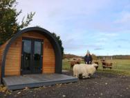 Glampods Glamping Pod - Meet Highland Cows And Sheep Elgin – zdjęcie 1