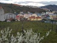 Casa Moscatel - Douro Valley – photo 6
