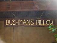 Bushman's Pillow