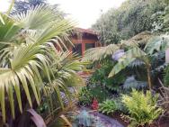 Cabin Set In A Beautiful Romantic Tropical Garden