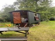 The Shepherd's Hut - Wild Escapes Wrenbury Off Grid Glamping - Ages 12 And Over