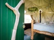 Geodome Glamping In Somerset – zdjęcie 4