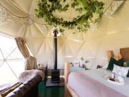 Geodome Glamping In Somerset – zdjęcie 5