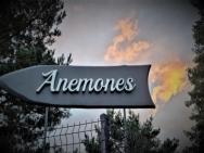 Glempings Anemones