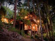 Currumbin Rainforest Treehouse