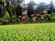 Vip's Ruposhi Bangla Eco Resort – photo 5
