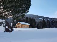 Alluring Chalet With Sauna, Ski Boot Heaters, Camping Cot