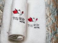 Hotel Trzy Róze – photo 12